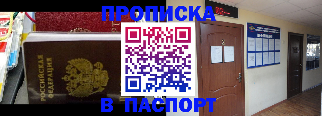 прописка гарантия в Звенигороде